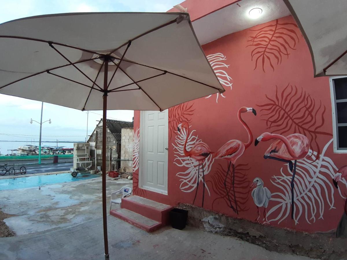 Habitaciones Chiquil Ha Río Lagartos Exterior foto